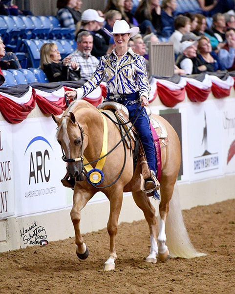 jerland arabians