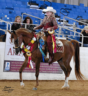 jerland arabians