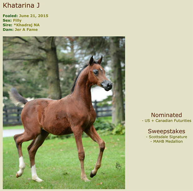 khatarina j