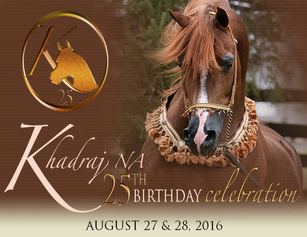 khadraj 25th birthday