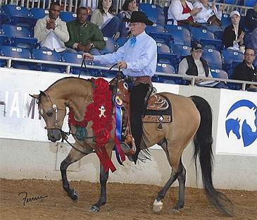 caliente cirtuoso