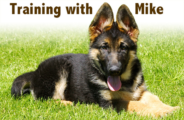 training with mike burkel