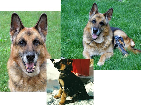 Kaiser