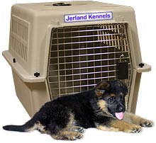 Puppy and Kennel