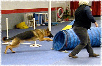 training