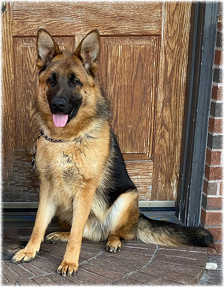 gretta